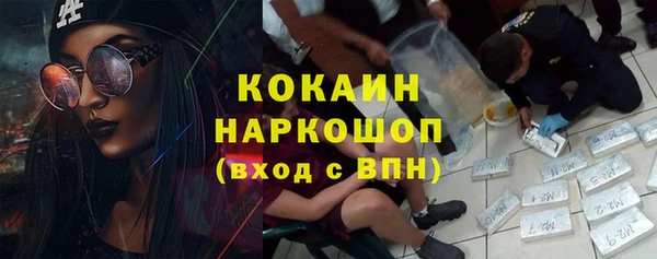 apvp Алзамай