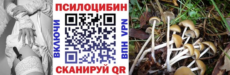 Псилоцибиновые грибы MAGIC MUSHROOMS  blacksprut ТОР  Заринск  хочу  